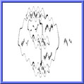 ImageMagick
